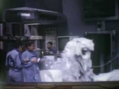 Fury From the Deep 8mm Colour Film No Audio