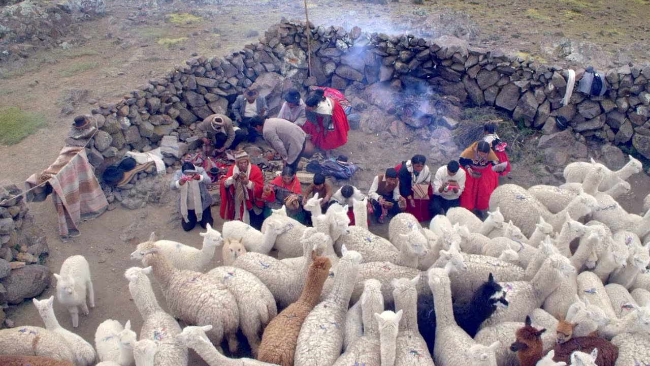 Hot Docs 2022 Trailer: PAKUCHA