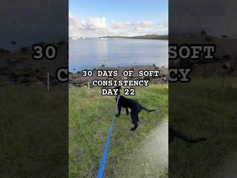 30 days of soft consistency - day 22 #slowliving #changeyourmindsetchangeyourlife  #holistichealth