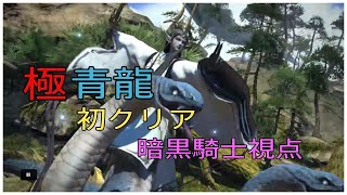 ff14 極青龍 初クリア うんこく騎士 視点