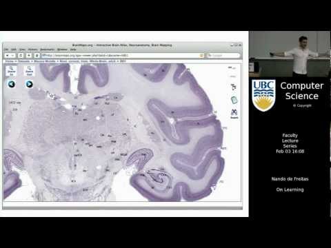 Nando de Freitas - On Learning