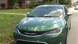5 hurt in 3 drive-by shootings in Melbourne, police say
