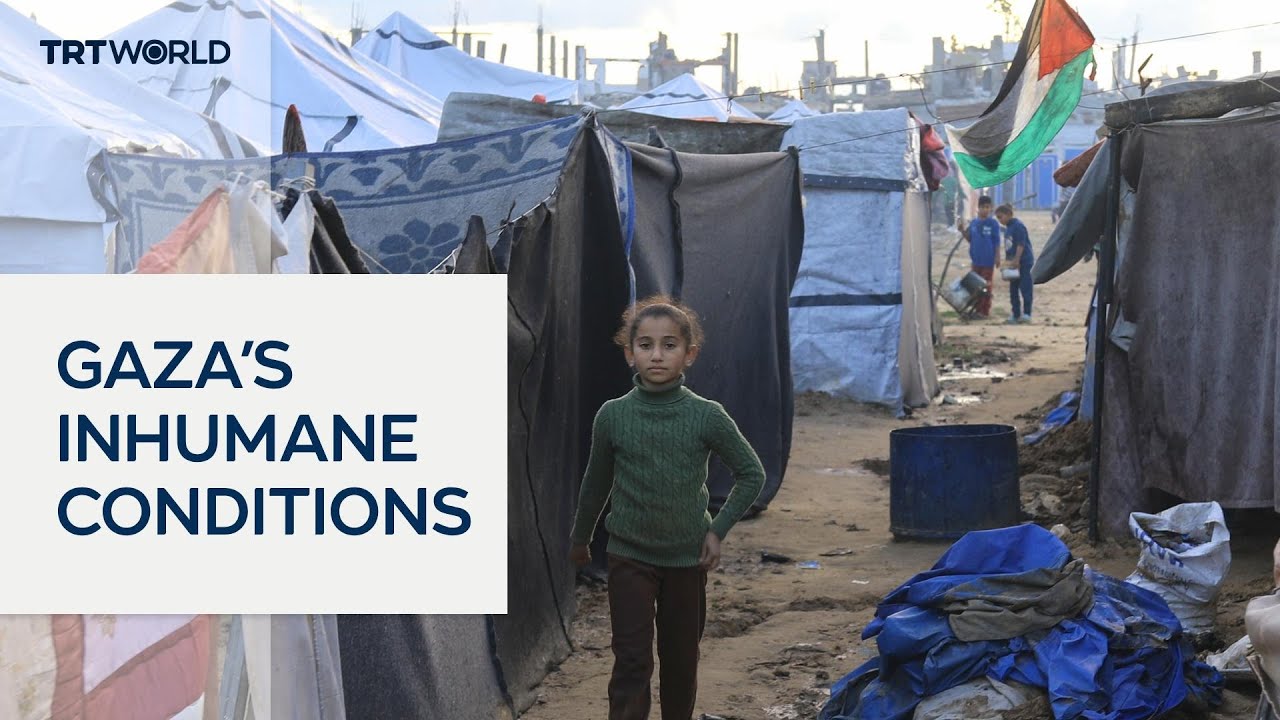 Luxury items allowed in Gaza while essentials remain blocked