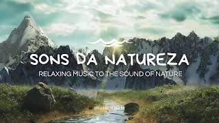 Sons da Natureza #8 | Piano Suave com Água Corrente e Floresta para Relaxar e Dormir Profundamente