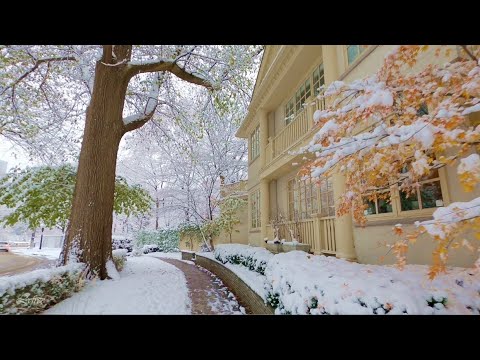 Snowy Winter Vibes in Beautiful Neighborhood of Toronto Homes and Classic Relaxing Music