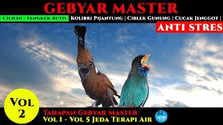 Download lagu CILILIN | TENGKEK BUTO | Tahapan Gebyar MASTER Vol  2  Agar tidak stres Jeda Terapi Air mp3