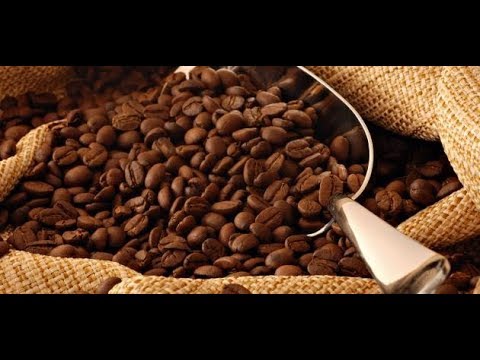 شاهد بالفيديو.. تعرفوا على أشهر أنواع القهوة ويا عباس