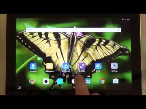 Macro Butterfly Live Wallpaper Video