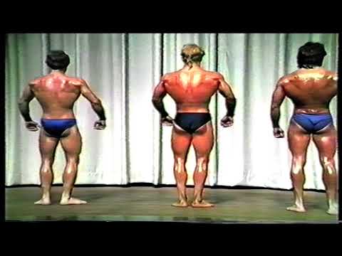 Hanse Cup 1984 - VNBB / BDB  - Teil 1