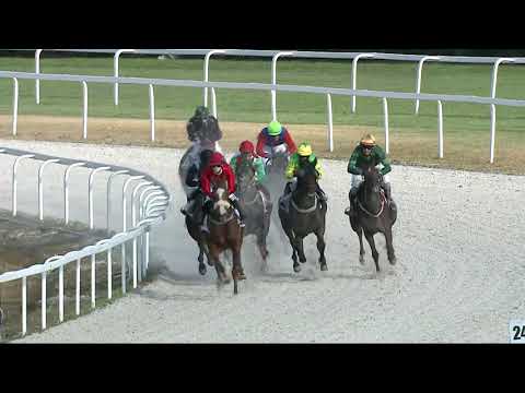 2021.09.26. 07. futam - NÉMETH FERENC EMLÉKKUPA V. FUTAMA HENDIKEP (V.o.)(szintetikus pálya)