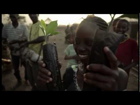 A Two Wave Total - Profile: Stephanie Gilmore