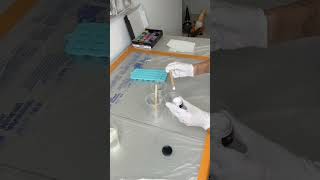 Gummy bear magnets ? / Eva Miller TikTok #evamiller #tiktok #shorts #video  #trending #ytshorts