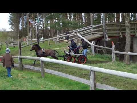 Fahrturnier Greffen 10.4.2022