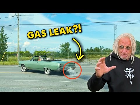 After the Auction: Funny Moments with Mike from Rust Bros