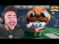 SAVING CHOMPY MOD!!! (New Ending) | Dark Pals Gameplay (Mods)