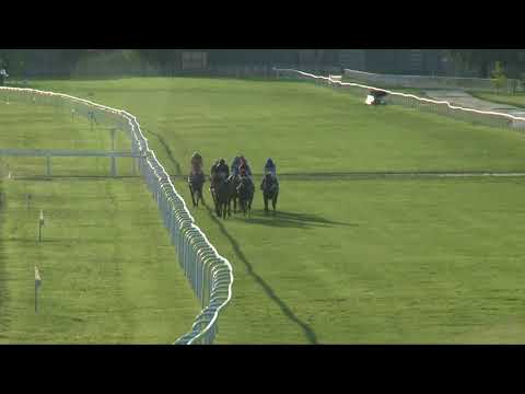 2017.08.20. 11. futam - SZENT ISTVÁN DÍJ (Elit kat.)