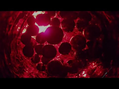 Mungo's Hi Fi x Hollie Cook - Sugarwater ft. Horseman