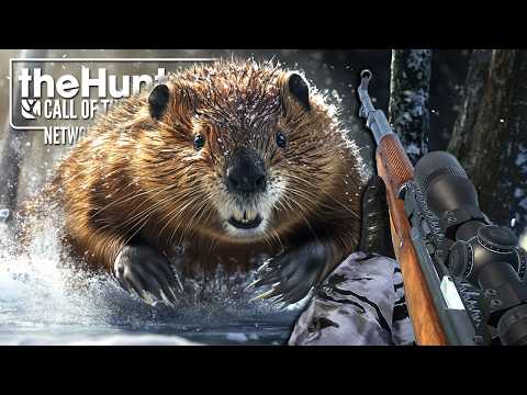 Die erste Jagd in KANADA! theHunter Call of the Wild - Askiy Ridge