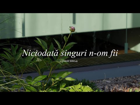 David Stănuș | Te iubesc că întâi m-ai iubit