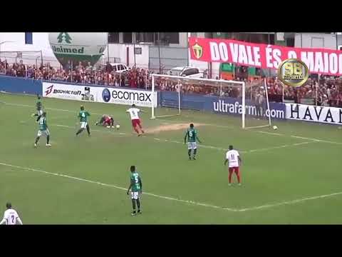 GOLS DE BRUSQUE 2 X 2 MANAUS - FINAL SERIE D 2019