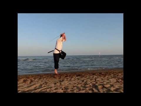 Daehan Minguk Hapkido Austria Summer Training Camp 2013