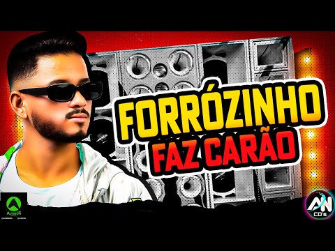 FORRÓZINHO FAZ CARÃO - MÚSICA PASSINHO VIRAL DO TIK TOK 2025 - A MAIS TOCADA PRA PAREDÃO - DJ MELK