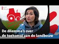 Wat is de rol van stikstof tijdens de verkiezingen? | RTV Utrecht
