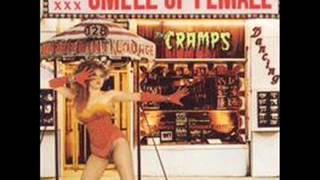 The Cramps - You Got Good Taste