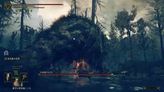 大赤熊ラルバ Lv120 加護0 エルデンリング DLC ボス (初攻略時)【ELDEN RING BOSS:Ralva the Great Red Bear】