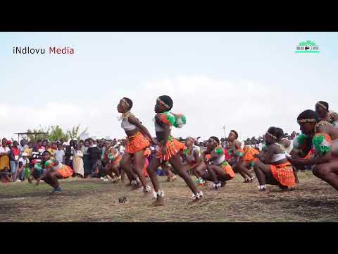 EZIKA CWESHE - TEAM ORANGE ZIDLALA INGOMA KASHAMENI | EMBONGOLWANE | 28-07-2024