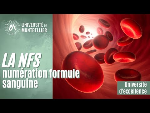 La NFS (numération formule sanguine)