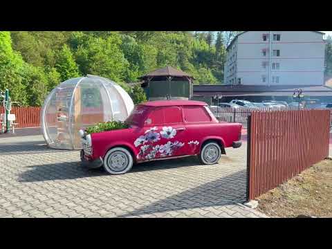 Despre stațiunea Moneasa