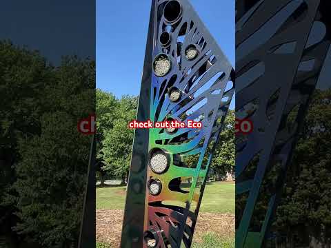 Will Dix Park Sunflowers Bloom This Week?