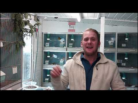 2021 breeding season episode 14