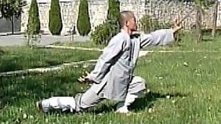 Shaolin 12-part internal kung fu (yi jin jing)