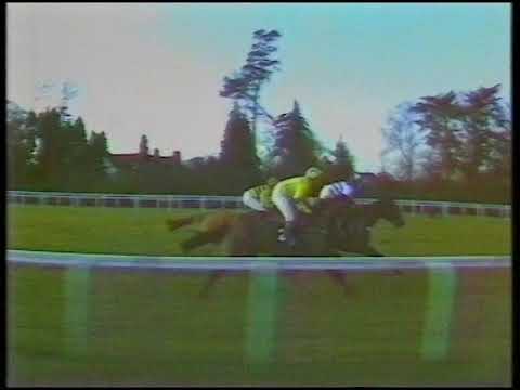1992 P.M.L. Lightning Novices' Chase