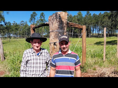 Alambrado perimetral | Productor de ganadería vacuna de Dos Arroyos, Misiones, Argentina.