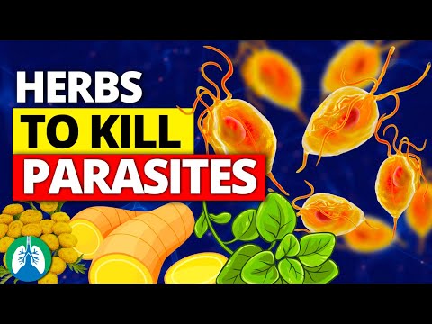 , title : '🌱Top 10 Best Herbs for Parasites (Natural Detox and Cleanse)'