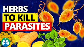 🌱Top 10 Best Herbs for Parasites (Natural Detox and Cleanse)