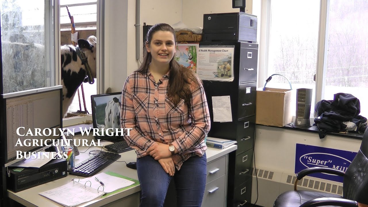 Video preview thumbnail