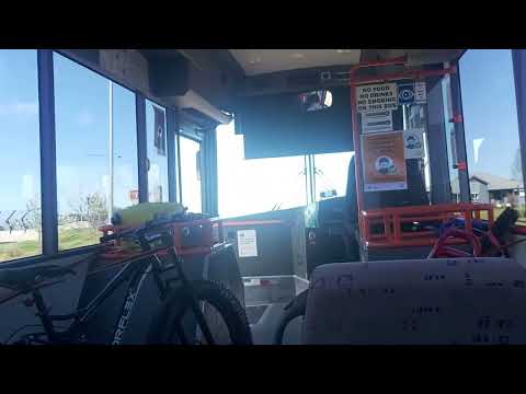 bus trip bomaderry to berry