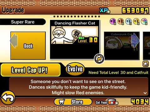 Getting Can Can Cat! (Dancing cat’s true form.)