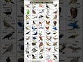 🐓100 birds name in images 🐔with English name #gk #gkgs #study #important short video vviteach study