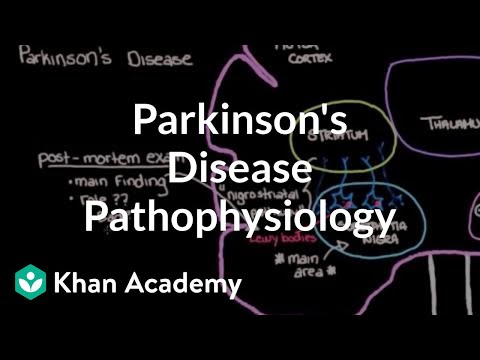 Putting It All Together Pathophysiology Of Parkinson S Disease Putting It All Together Pathophysiology Of Parkinson S Disease Video Khan Academy