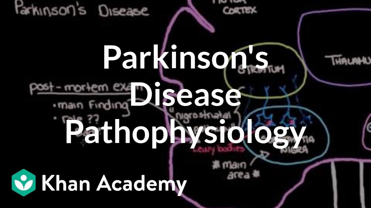 Putting it all together - Pathophysiology of Parkinson's disease | NCLEX-RN | Khan Academy