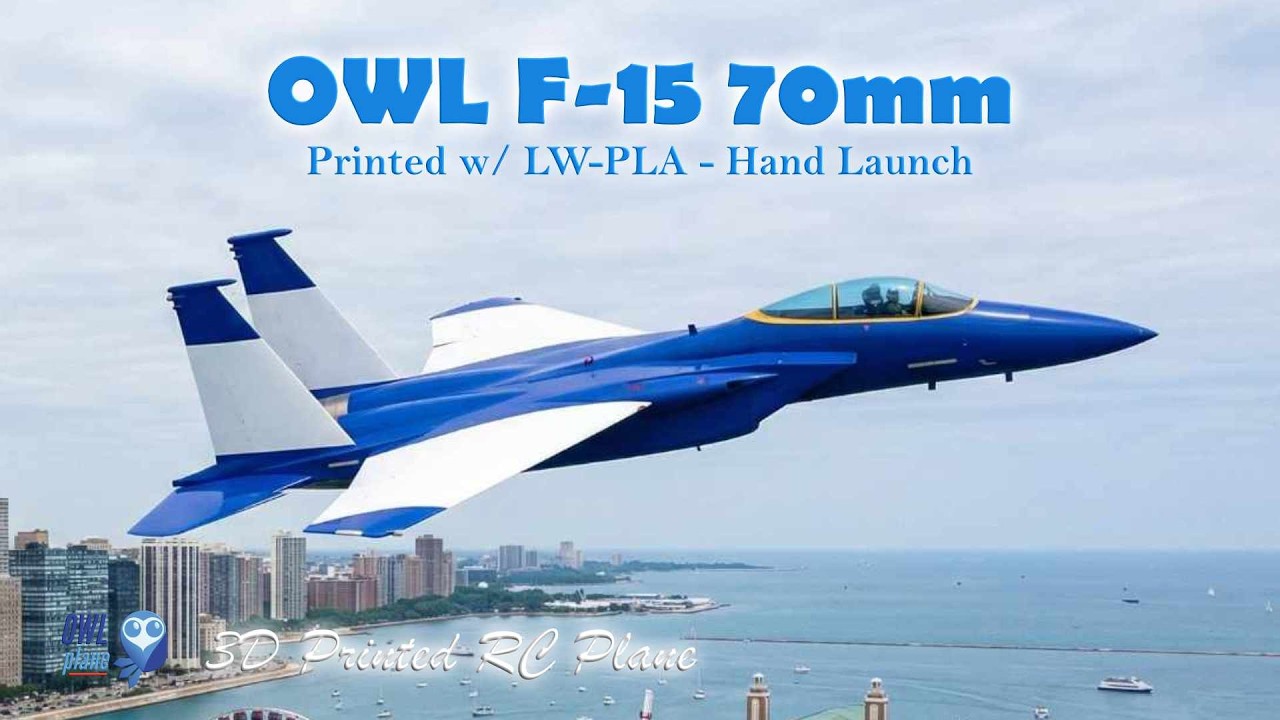 OWL F-15 70mm EDF - 6s 2200mAh LW PLA #2-2