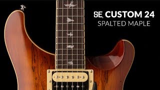 SE Custom 24 Spalted Maple, зображення 1