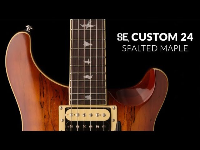 Video teaser for The SE Custom 24 Spalted Maple | PRS Guitars