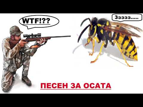 Yani MC - Песен за осата | Animal Planet | ЧАСТ 1 (2023)