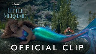 The Little Mermaid (2023) Video